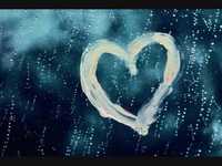 pochette album Can't fight love