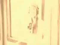 pochette album Everlasting