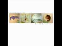 pochette album What comes of honesty...