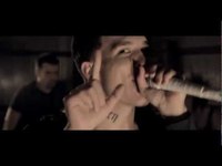 pochette album The open road