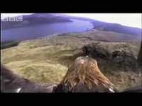 pochette album Incommudro