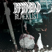 pochette album Blacklist