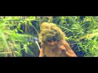 pochette album Animal style