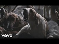 pochette album Bumblebee