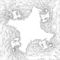 pochette album La fée verte