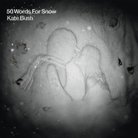 pochette album 50 words for snow