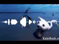 pochette album Aerial