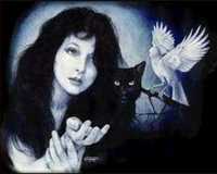 pochette album Ne t'enfuis pas