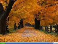 pochette album Do not stand at my grave and weep