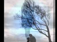 pochette album River of dreams