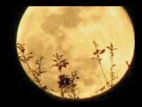 pochette album River