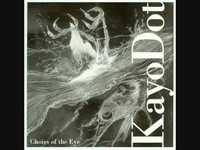 pochette album The manifold curiosity