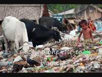 pochette album Victims of comfort