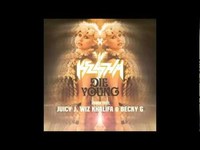 pochette album Die young (remix)