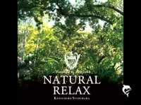 pochette album Say you love me