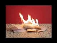 pochette album Insensible world