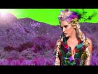 pochette album Wonderland