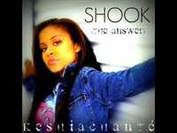 pochette album Shook [the answer]