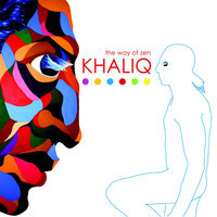 pochette album Camouflage