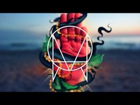 pochette album Dolphin on wheels