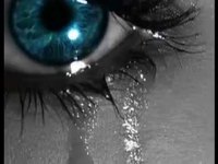 pochette album Roller coaster of life