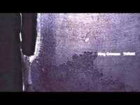 pochette album Dinosaur