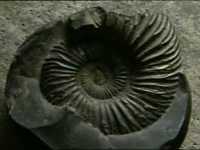 pochette album One time