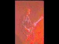 pochette album Dear margaret