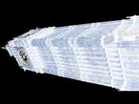 pochette album Salvation road