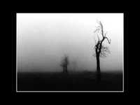 pochette album The way love used to be