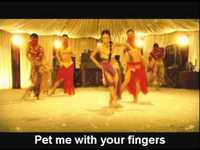 pochette album Shake it