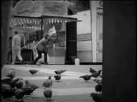 pochette album Seaside