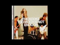 pochette album Too much of nothing