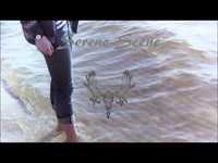 pochette album Vipers