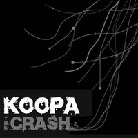 pochette album The crash