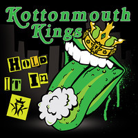 pochette album Hold it in