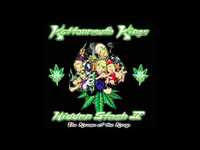 pochette album Intro