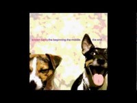 pochette album Why are you wasting my time