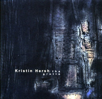 pochette album Vanishing twin