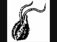 pochette album Ya feel dat