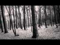 pochette album Killer