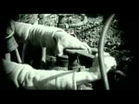 pochette album Lejos de aqui