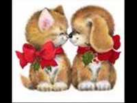 pochette album Amores como el tuyo