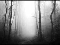 pochette album Accords perdus aux coeurs pendus