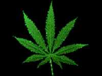 pochette album Luv 2 get high