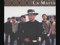 pochette album Coming home