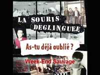pochette album Week end sauvage