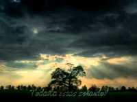 pochette album Looking for...