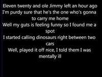 pochette album Wild turkey