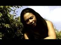 pochette album Hommage